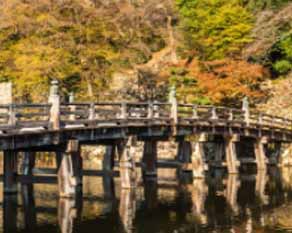 春运返程火车票今天开抢 今年春节天气冷不冷 